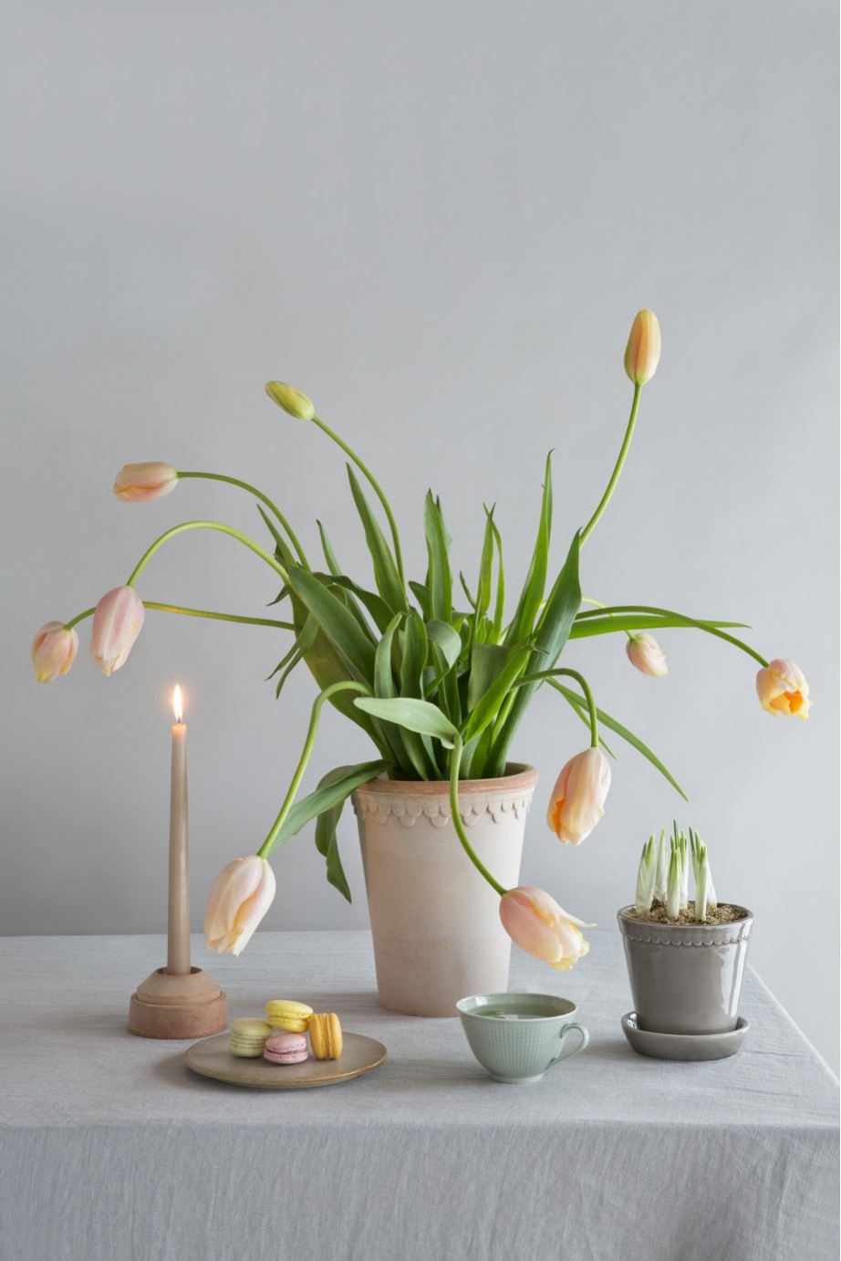 Bunch of Flowers